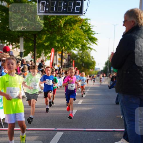 20.09.2026 - PSD Bank Halbmarathon LAZAROV Photography http://msf.ph/oto/10548031 20.09.2026 10:30:36 Ziel 114, 159, 160, 176, 256, 257, 319, 391, 408 meine-sportfotos.de