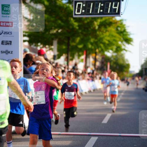 20.09.2026 - PSD Bank Halbmarathon LAZAROV Photography http://msf.ph/oto/10548036 20.09.2026 10:30:38 Ziel 114, 159, 160, 176, 256, 257, 319, 340, 391, 408 meine-sportfotos.de