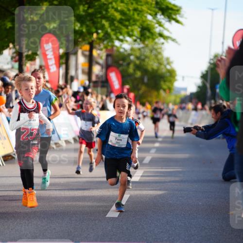 20.09.2026 - PSD Bank Halbmarathon LAZAROV Photography http://msf.ph/oto/10548056 20.09.2026 10:30:49 Ziel 121, 149, 340, 347, 355, 380, 438 meine-sportfotos.de