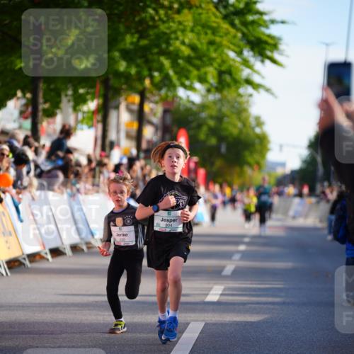 20.09.2026 - PSD Bank Halbmarathon LAZAROV Photography http://msf.ph/oto/10548070 20.09.2026 10:30:56 Ziel 149, 304, 347, 355, 380, 430, 438 meine-sportfotos.de