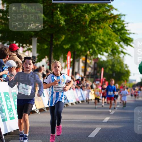 20.09.2026 - PSD Bank Halbmarathon LAZAROV Photography http://msf.ph/oto/10548095 20.09.2026 10:31:15 Ziel 115, 155, 245, 280, 326, 394, 435, 448 meine-sportfotos.de
