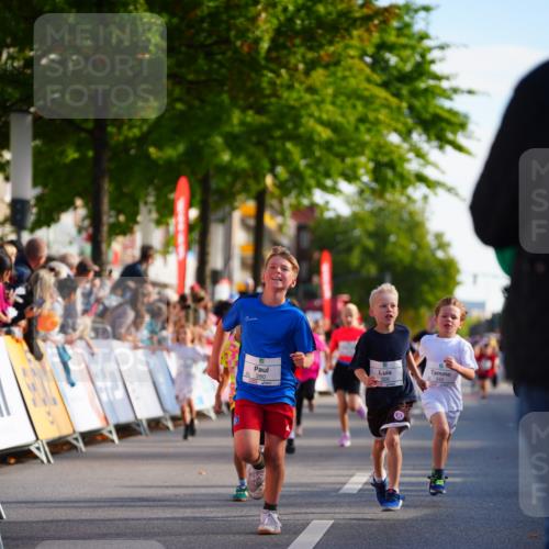 20.09.2026 - PSD Bank Halbmarathon LAZAROV Photography http://msf.ph/oto/10548104 20.09.2026 10:31:18 Ziel 115, 155, 245, 280, 309, 326, 358, 394, 448 meine-sportfotos.de