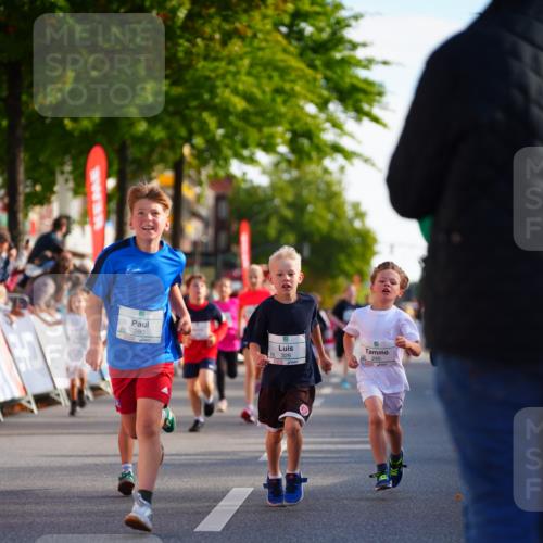 20.09.2026 - PSD Bank Halbmarathon LAZAROV Photography http://msf.ph/oto/10548105 20.09.2026 10:31:19 Ziel 115, 155, 158, 245, 280, 309, 326, 358, 394, 395, 439, 448 meine-sportfotos.de