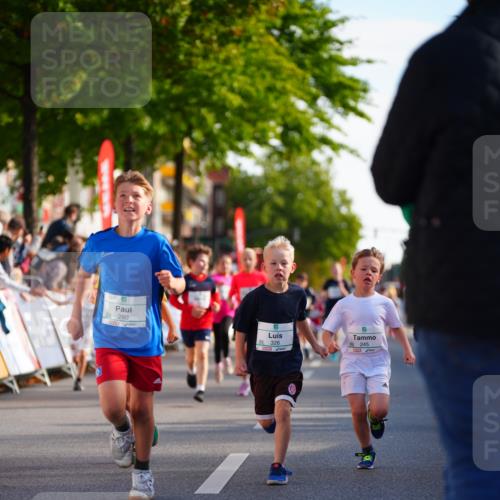 20.09.2026 - PSD Bank Halbmarathon LAZAROV Photography http://msf.ph/oto/10548106 20.09.2026 10:31:19 Ziel 115, 155, 158, 245, 280, 309, 326, 358, 394, 395, 439, 448 meine-sportfotos.de