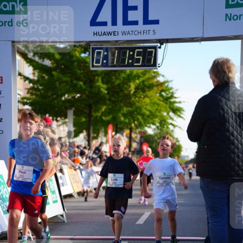 20.09.2026 - PSD Bank Halbmarathon LAZAROV Photography http://msf.ph/oto/10548109 20.09.2026 10:31:21 Ziel 108, 115, 155, 158, 245, 280, 309, 326, 353, 358, 395, 439, 448 meine-sportfotos.de