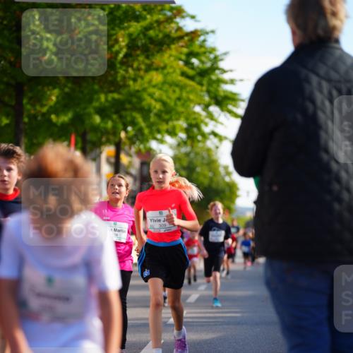 20.09.2026 - PSD Bank Halbmarathon LAZAROV Photography http://msf.ph/oto/10548113 20.09.2026 10:31:23 Ziel 108, 146, 158, 245, 280, 309, 326, 353, 358, 395, 439, 448 meine-sportfotos.de