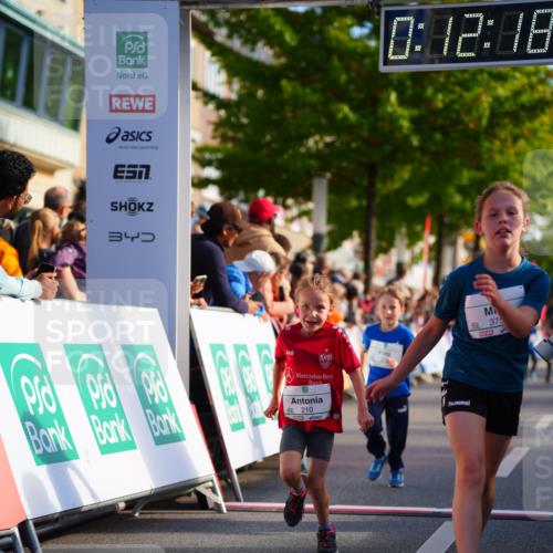 20.09.2026 - PSD Bank Halbmarathon LAZAROV Photography http://msf.ph/oto/10548155 20.09.2026 10:31:42 Ziel 189, 208, 210, 219, 223, 260, 265, 322, 375, 414, 450 meine-sportfotos.de