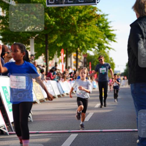 20.09.2026 - PSD Bank Halbmarathon LAZAROV Photography http://msf.ph/oto/10548170 20.09.2026 10:31:51 Ziel 103, 189, 261, 451, 458 meine-sportfotos.de