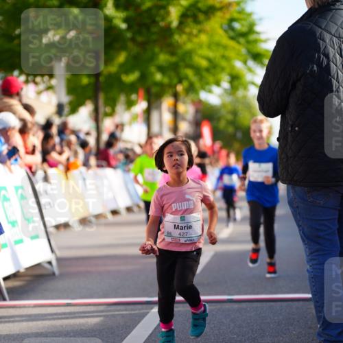 20.09.2026 - PSD Bank Halbmarathon LAZAROV Photography http://msf.ph/oto/10548190 20.09.2026 10:32:01 Ziel 225, 277, 298, 336, 399, 416, 426, 427, 451, 458 meine-sportfotos.de