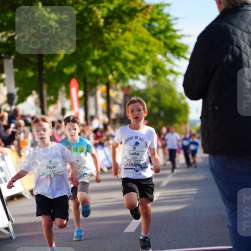 20.09.2026 - PSD Bank Halbmarathon LAZAROV Photography http://msf.ph/oto/10548214 20.09.2026 10:32:11 Ziel 117, 153, 226, 276, 277, 298, 346, 373 meine-sportfotos.de