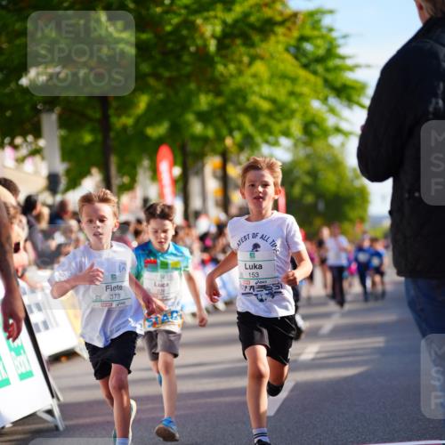 20.09.2026 - PSD Bank Halbmarathon LAZAROV Photography http://msf.ph/oto/10548215 20.09.2026 10:32:11 Ziel 117, 153, 226, 276, 277, 298, 346, 373 meine-sportfotos.de