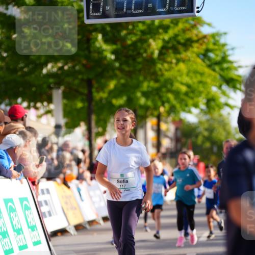 20.09.2026 - PSD Bank Halbmarathon LAZAROV Photography http://msf.ph/oto/10548221 20.09.2026 10:32:17 Ziel 117, 120, 153, 164, 170, 205, 226, 249, 285, 300, 346, 373, 453 meine-sportfotos.de