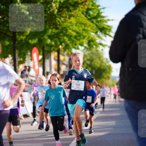 20.09.2026 - PSD Bank Halbmarathon LAZAROV Photography http://msf.ph/oto/10548223 20.09.2026 10:32:17 Ziel 117, 120, 153, 164, 170, 205, 226, 249, 285, 300, 346, 373, 453 meine-sportfotos.de