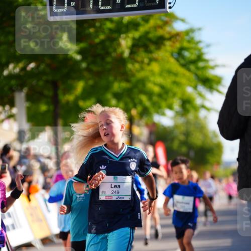20.09.2026 - PSD Bank Halbmarathon LAZAROV Photography http://msf.ph/oto/10548227 20.09.2026 10:32:18 Ziel 117, 120, 153, 164, 170, 205, 226, 249, 285, 300, 346, 373, 453 meine-sportfotos.de