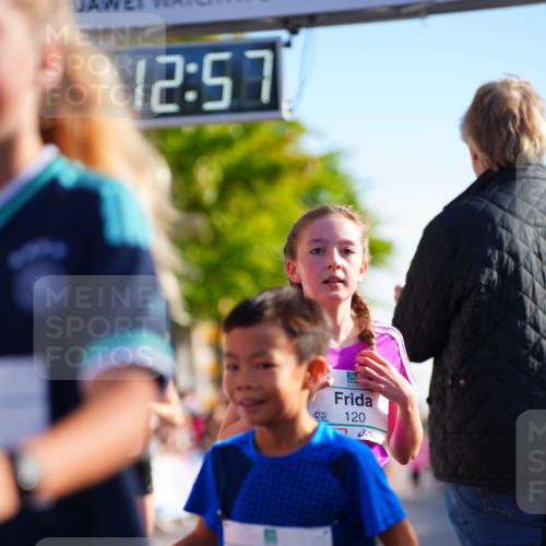 20.09.2026 - PSD Bank Halbmarathon LAZAROV Photography http://msf.ph/oto/10548232 20.09.2026 10:32:21 Ziel 117, 120, 164, 170, 205, 249, 272, 285, 299, 300, 453 meine-sportfotos.de