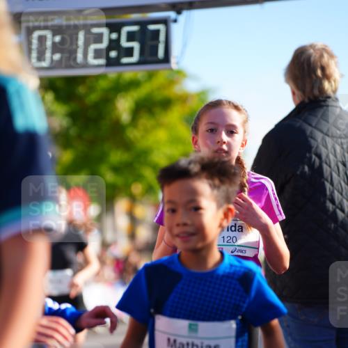 20.09.2026 - PSD Bank Halbmarathon LAZAROV Photography http://msf.ph/oto/10548233 20.09.2026 10:32:21 Ziel 117, 120, 164, 170, 205, 249, 272, 285, 299, 300, 453 meine-sportfotos.de