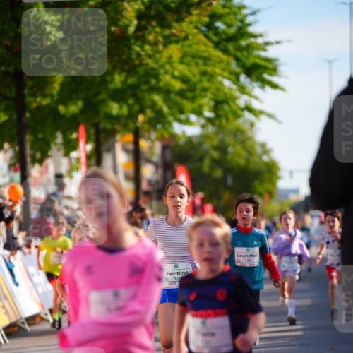 20.09.2026 - PSD Bank Halbmarathon LAZAROV Photography http://msf.ph/oto/10548252 20.09.2026 10:32:32 Ziel 107, 118, 126, 129, 131, 132, 133, 182, 184, 198, 209, 243, 244, 248, 313, 454 meine-sportfotos.de