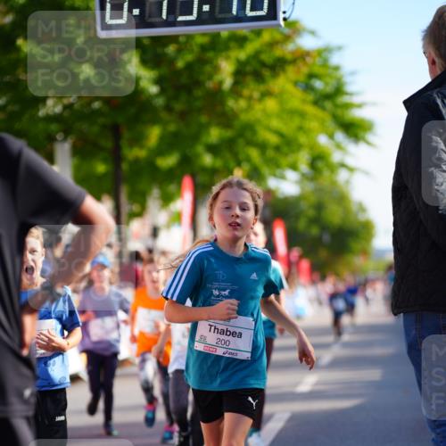 20.09.2026 - PSD Bank Halbmarathon LAZAROV Photography http://msf.ph/oto/10548267 20.09.2026 10:32:42 Ziel 118, 125, 133, 178, 179, 182, 184, 191, 200, 209, 248, 288, 313, 333, 359, 396, 425, 443, 454 meine-sportfotos.de