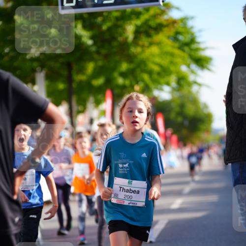 20.09.2026 - PSD Bank Halbmarathon LAZAROV Photography http://msf.ph/oto/10548268 20.09.2026 10:32:42 Ziel 118, 125, 133, 178, 179, 182, 184, 191, 200, 209, 248, 288, 313, 333, 359, 396, 425, 443, 454 meine-sportfotos.de