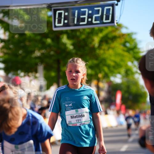20.09.2026 - PSD Bank Halbmarathon LAZAROV Photography http://msf.ph/oto/10548271 20.09.2026 10:32:44 Ziel 125, 178, 179, 182, 184, 191, 200, 209, 288, 333, 359, 396, 425, 443 meine-sportfotos.de