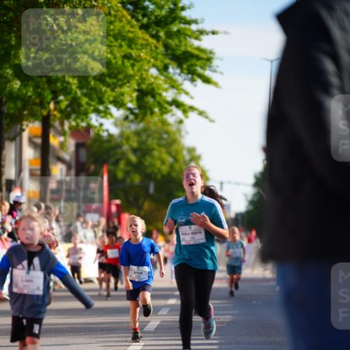 20.09.2026 - PSD Bank Halbmarathon LAZAROV Photography http://msf.ph/oto/10548278 20.09.2026 10:32:50 Ziel 178, 191, 199, 229, 246, 333, 359, 441 meine-sportfotos.de