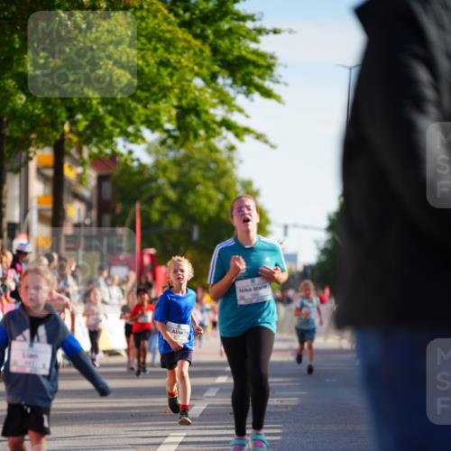 20.09.2026 - PSD Bank Halbmarathon LAZAROV Photography http://msf.ph/oto/10548279 20.09.2026 10:32:50 Ziel 178, 191, 199, 229, 246, 333, 359, 441 meine-sportfotos.de