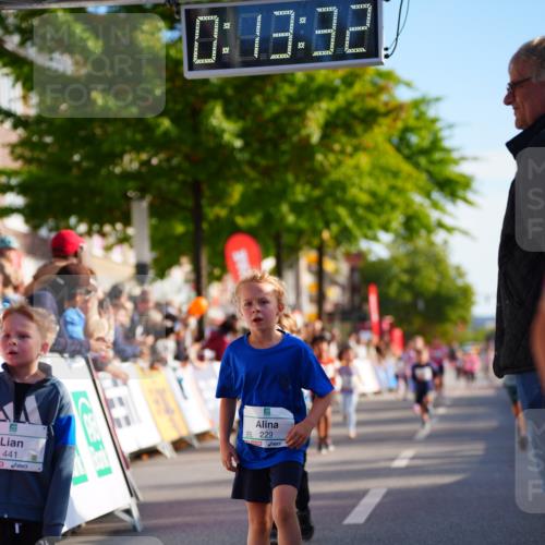 20.09.2026 - PSD Bank Halbmarathon LAZAROV Photography http://msf.ph/oto/10548291 20.09.2026 10:32:56 Ziel 197, 199, 229, 246, 335, 441, 444 meine-sportfotos.de