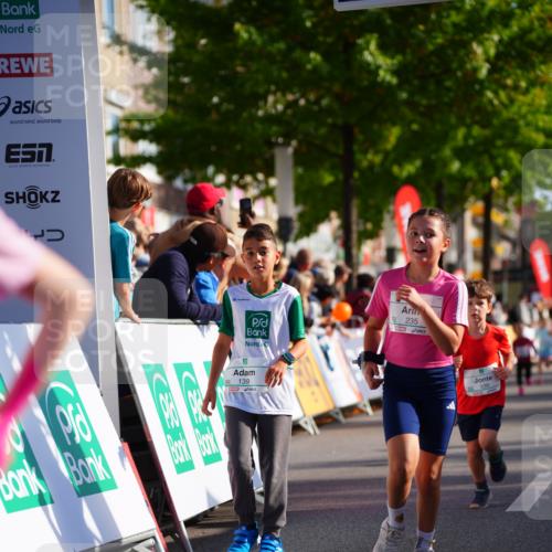 20.09.2026 - PSD Bank Halbmarathon LAZAROV Photography http://msf.ph/oto/10548312 20.09.2026 10:33:07 Ziel 139, 235, 238, 247, 291, 302, 339, 374, 387, 444 meine-sportfotos.de