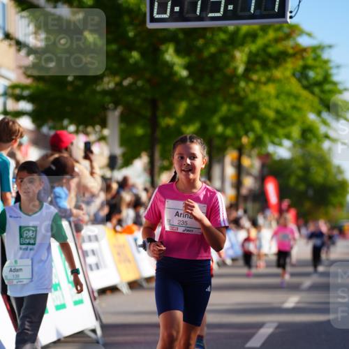 20.09.2026 - PSD Bank Halbmarathon LAZAROV Photography http://msf.ph/oto/10548314 20.09.2026 10:33:08 Ziel 139, 235, 238, 247, 291, 302, 339, 374, 387, 444 meine-sportfotos.de