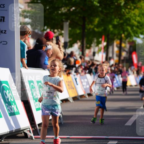 20.09.2026 - PSD Bank Halbmarathon LAZAROV Photography http://msf.ph/oto/10548337 20.09.2026 10:33:19 Ziel 230, 232, 296, 308, 316, 379, 386, 409 meine-sportfotos.de