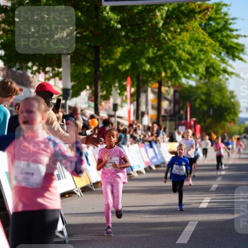20.09.2026 - PSD Bank Halbmarathon LAZAROV Photography http://msf.ph/oto/10548350 20.09.2026 10:33:26 Ziel 106, 230, 232, 234, 255, 296, 402, 409 meine-sportfotos.de