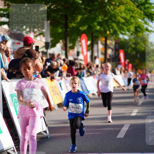 20.09.2026 - PSD Bank Halbmarathon LAZAROV Photography http://msf.ph/oto/10548356 20.09.2026 10:33:28 Ziel 106, 230, 234, 254, 255, 402 meine-sportfotos.de