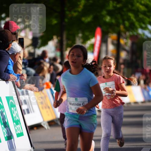 20.09.2026 - PSD Bank Halbmarathon LAZAROV Photography http://msf.ph/oto/10548382 20.09.2026 10:33:48 Ziel 166, 207, 227, 253, 424 meine-sportfotos.de