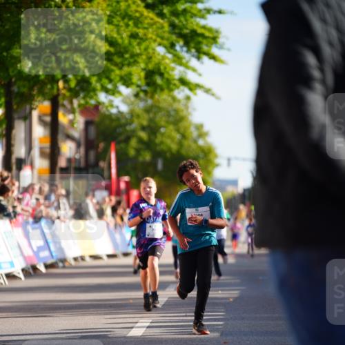 20.09.2026 - PSD Bank Halbmarathon LAZAROV Photography http://msf.ph/oto/10548386 20.09.2026 10:33:50 Ziel 166, 207, 227, 253, 290, 424 meine-sportfotos.de
