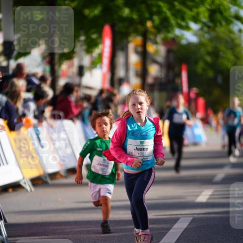20.09.2026 - PSD Bank Halbmarathon LAZAROV Photography http://msf.ph/oto/10548406 20.09.2026 10:33:59 Ziel 138, 171, 173, 207, 290, 382 meine-sportfotos.de