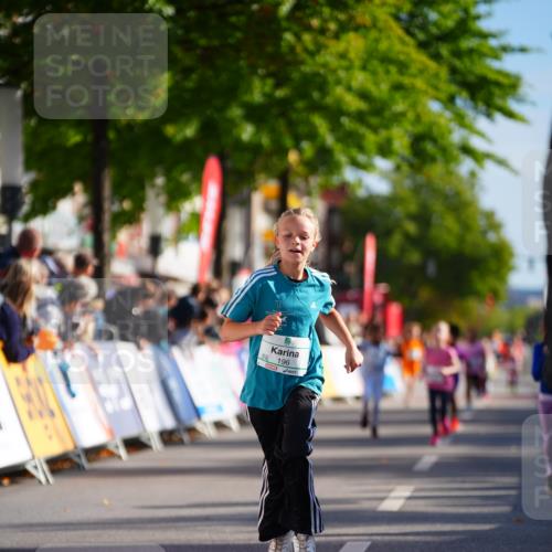 20.09.2026 - PSD Bank Halbmarathon LAZAROV Photography http://msf.ph/oto/10548415 20.09.2026 10:34:05 Ziel 171, 173, 196, 376, 382 meine-sportfotos.de