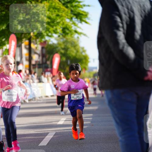 20.09.2026 - PSD Bank Halbmarathon LAZAROV Photography http://msf.ph/oto/10548431 20.09.2026 10:34:12 Ziel 148, 196, 269, 376, 389, 390 meine-sportfotos.de