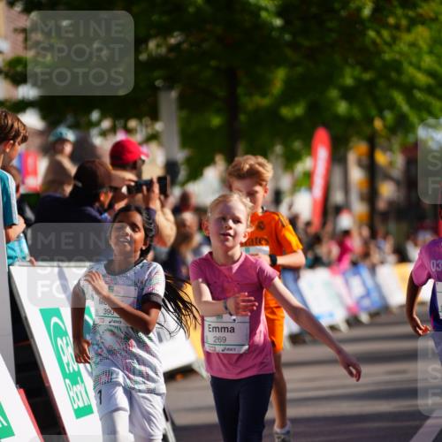 20.09.2026 - PSD Bank Halbmarathon LAZAROV Photography http://msf.ph/oto/10548434 20.09.2026 10:34:13 Ziel 148, 196, 269, 295, 376, 389, 390 meine-sportfotos.de