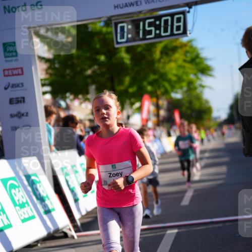 20.09.2026 - PSD Bank Halbmarathon LAZAROV Photography http://msf.ph/oto/10548467 20.09.2026 10:34:32 Ziel 143, 147, 168, 239, 267, 268, 270, 350, 367 meine-sportfotos.de