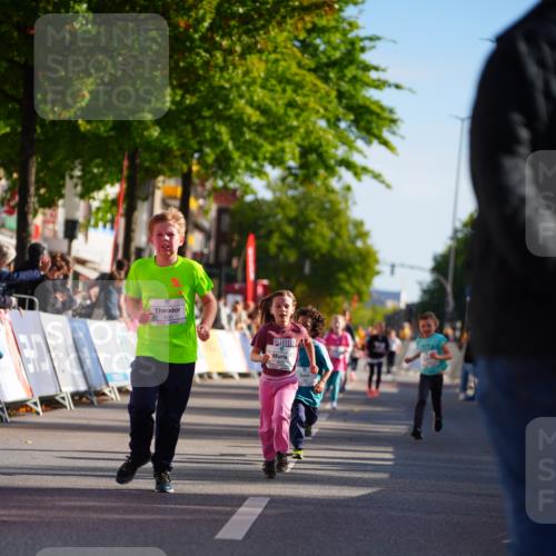 20.09.2026 - PSD Bank Halbmarathon LAZAROV Photography http://msf.ph/oto/10548482 20.09.2026 10:34:50 Ziel 195, 383, 400, 403 meine-sportfotos.de