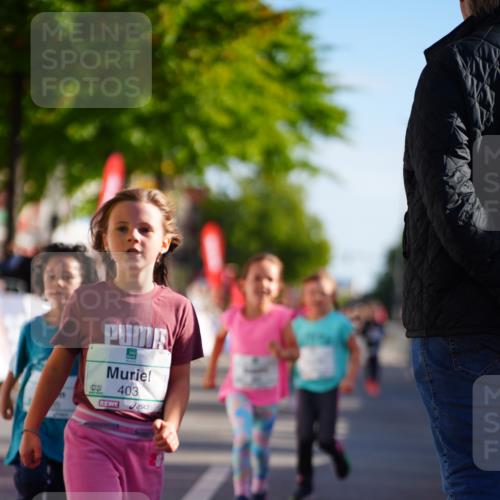 20.09.2026 - PSD Bank Halbmarathon LAZAROV Photography http://msf.ph/oto/10548491 20.09.2026 10:34:55 Ziel 195, 383, 400, 403, 452 meine-sportfotos.de