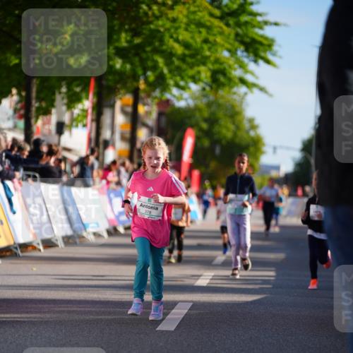 20.09.2026 - PSD Bank Halbmarathon LAZAROV Photography http://msf.ph/oto/10548500 20.09.2026 10:35:00 Ziel 161, 195, 378, 383, 401, 403, 452 meine-sportfotos.de