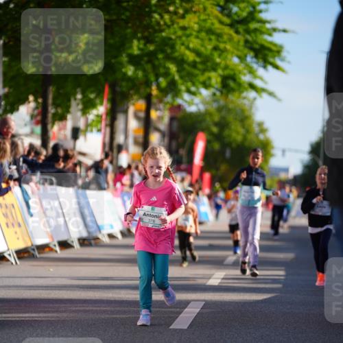20.09.2026 - PSD Bank Halbmarathon LAZAROV Photography http://msf.ph/oto/10548501 20.09.2026 10:35:00 Ziel 161, 195, 378, 383, 401, 403, 452 meine-sportfotos.de