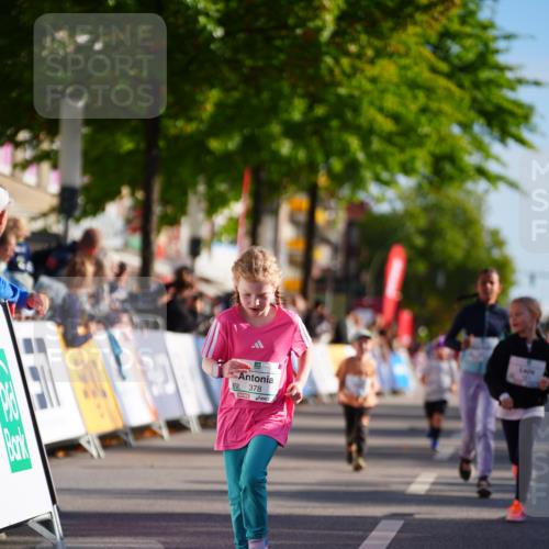 20.09.2026 - PSD Bank Halbmarathon LAZAROV Photography http://msf.ph/oto/10548503 20.09.2026 10:35:01 Ziel 119, 161, 195, 378, 383, 401, 452 meine-sportfotos.de