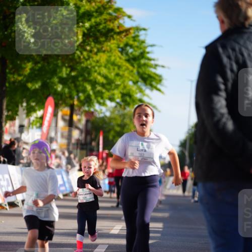 20.09.2026 - PSD Bank Halbmarathon LAZAROV Photography http://msf.ph/oto/10548519 20.09.2026 10:35:08 Ziel 119, 161, 163, 334, 378, 401, 428 meine-sportfotos.de