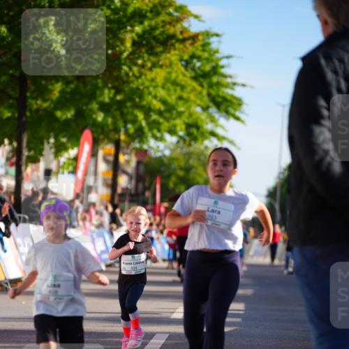 20.09.2026 - PSD Bank Halbmarathon LAZAROV Photography http://msf.ph/oto/10548520 20.09.2026 10:35:08 Ziel 119, 161, 163, 334, 378, 401, 428 meine-sportfotos.de