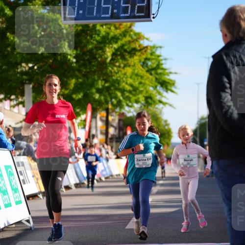 20.09.2026 - PSD Bank Halbmarathon LAZAROV Photography http://msf.ph/oto/10548530 20.09.2026 10:35:16 Ziel 203, 287, 303, 311, 334 meine-sportfotos.de