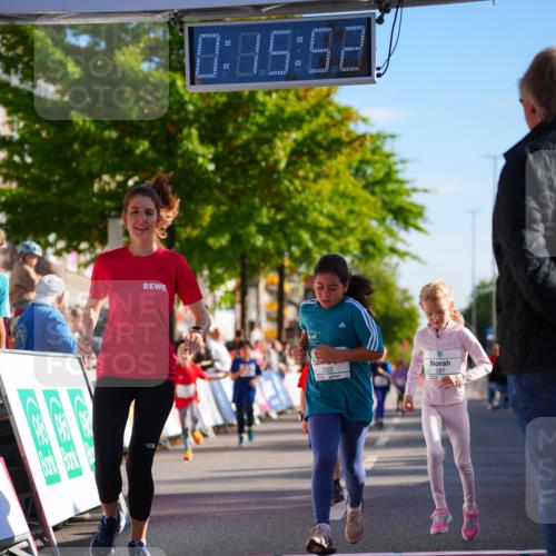 20.09.2026 - PSD Bank Halbmarathon LAZAROV Photography http://msf.ph/oto/10548532 20.09.2026 10:35:16 Ziel 203, 287, 303, 311, 334 meine-sportfotos.de