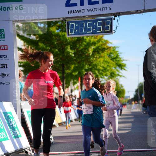 20.09.2026 - PSD Bank Halbmarathon LAZAROV Photography http://msf.ph/oto/10548535 20.09.2026 10:35:17 Ziel 203, 287, 303, 311, 423 meine-sportfotos.de