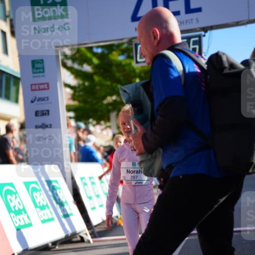 20.09.2026 - PSD Bank Halbmarathon LAZAROV Photography http://msf.ph/oto/10548541 20.09.2026 10:35:20 Ziel 203, 287, 303, 311, 423, 440 meine-sportfotos.de